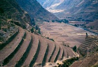 Terraces or cultivation platforms in the Andes.
