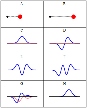 Some trajectories of a harmonic oscillator (i.e. a ball attached to a spring) in classical mechanics (A-B) and quantum mechanics (C-H). In quantum mechanics, the position of the ball is represented by a wave (called the wave function), with the real part shown in blue and the imaginary part shown in red. Some of the trajectories (such as C, D, E, and F) are standing waves (or "stationary states"). Each standing-wave frequency is proportional to a possible energy level of the oscillator. This "energy quantization" does not occur in classical physics, where the oscillator can have any energy.