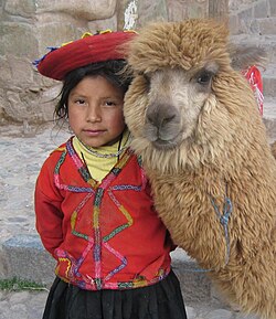 Girl, wearing indigenous clothing, with llama near Plaza de Armas in Cusco