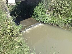 Deep collector drain