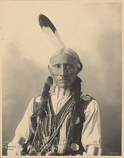 White Buffalo, a Northern Cheyenne chief who received the rank of sergeant in the United States Army.