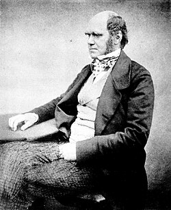 In 1842, Charles Darwin penned his first sketch of On the Origin of Species.[20]