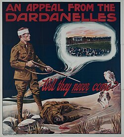 Australia's first recruitment poster, published in 1915, questions the public's commitment to Australian football rather than the war.