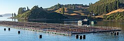 Fish cages in Castro, Chile