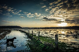 A low-lying field in Achterwehr Germany inundated by overflow from a nearby waterway.