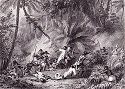 Battle at "Snake Gully" in 1802