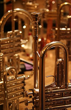 A collection of brass instruments