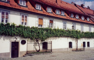 The more-than-400-year-old Žametovka vine growing outside the Old Vine House in Maribor. To the right is a daughter vine propagated from a cutting of the original vine.