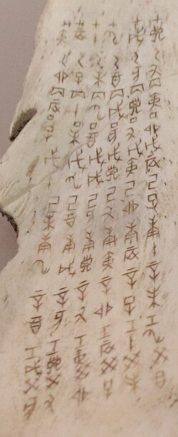 Table of the Chinese sexagenary cycle inscribed on an ox scapula, dating to the reigns of the last two kings of the Shang dynasty during the first half of the 11th century BC