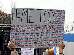 White rectangular sign held up at a protest with #ME TOO in the top left corner in black, and alternating red and blue stripes that repeat the words "AND HER TOO" "AND HIM TOO" "AND THEM TOO".