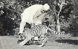 Nehru playing with a tiger cub at his home in 1955
