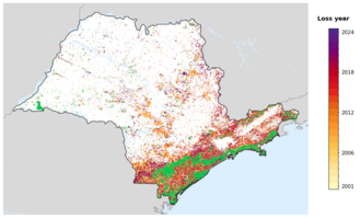 Map of São Paulo showing tree-cover loss years, with forest remaining since 2000 in green and loss years shaded yellow through purple.
