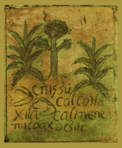 The Techialoyan Codex of Cuajimalpa, an example of a Techialoyan manuscript