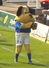 Birmingham City mascot Beau Brummie
