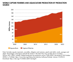 Global capture fishery yield in red and aquaculture production in orange, 2023.[11]