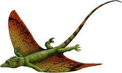 Life restoration of the weigeltisaurid Weigeltisaurus jaekeli from the Late Permian (259-252 million years ago). Weigeltisaurids represent the oldest known gliding vertebrates.
