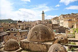Domes of the Hammam as-Saffarin in the old city of Fez, Morocco