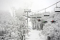Cerro Castor is the most important ski resort in the province