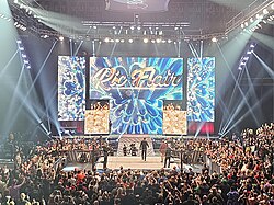 Ric Flair's entrance video plays on the screen during his AEW debut.