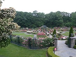 The Peggy Rockefeller Rose Garden