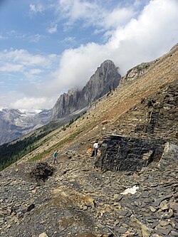 Walcott Quarry of the Burgess Shale showing the Walcott Quarry Shale Member. The white parallel vertical streaks are remnants of drill holes made during excavations in the mid-1990s.