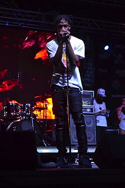 Scott performing in 2013