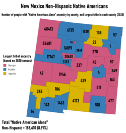 Largest Non-Hispanic Native American ancestry by county and numbers of people reporting "Native American Alone"