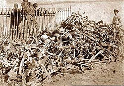 Human remains of Bolivian, Chilean and Peruvian soldiers exhumed from makeshift graves after the Battle of Tacna before their definitive interment in the Mausoleum of the Tacna cemetery in 1910.[186]
