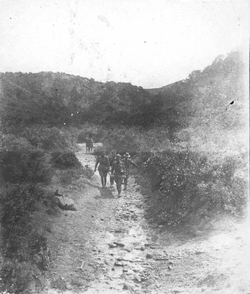 Field Ambulance crew carries a wounded soldier down a path.
