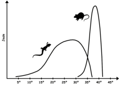 Sustained energy output (joules) of a typical reptile versus a similar size mammal as a function of core body temperature. The mammal has a much higher peak output, but can only function over a very narrow range of body temperature.