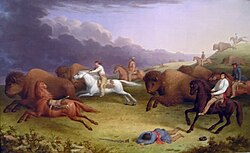 Paul Kane's oil painting Half-Breeds Running Buffalo depicts a Métis buffalo hunt on the prairies of Dakota in June 1846.
