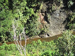 The river bed at the Moody Creek Mine, 7 Mile Creek / Waimatuku, Dunollie, New Zealand contains evidence of a devastating event on terrestrial plant communities at the Cretaceous–Paleogene boundary, confirming the severity and global nature of the event[163]