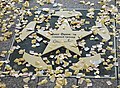 A star in the Shakhtar Walk of Fame in honor of Oleg Oshenkov, who as manager twice led Shakhtar to Soviet Cup victory.