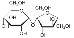 Structure of sucrose
