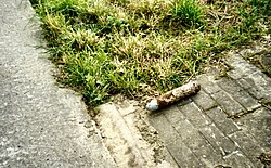 Iron harvest World War I ordnance left beside a field for disposal by the army in 2004 near Ypres in Belgium