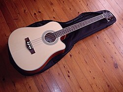 Acoustic bass guitar