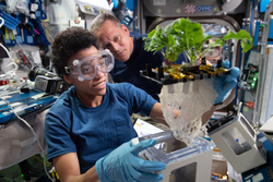 Jessica Watkins and Bob Hines working on XROOTS, an experiment using the Veggie facility of the station testing soilless hydroponic and aeroponic plant growth
