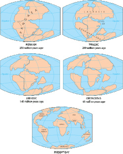 Global maps showing continental movement from 250 million years ago to present day.