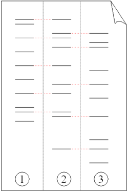 Electrophoresis of PCR-amplified DNA fragments: FatherChildMotherThe child has inherited some, but not all, of the fingerprints of each of its parents, giving it a new, unique fingerprint.