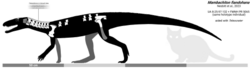Skeletal reconstruction of Mambachiton