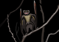 Versperopterylus is one of the only pterosaurs with grasping feet, despite popular depictions of them on many pterosaurs