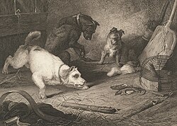 Rat-catching, 1823, by Edwin Landseer, engraving, published by Hurst, Robinson & Co.