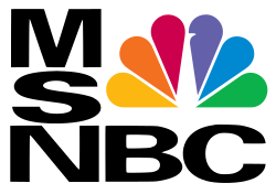 MSNBC's logo used from 1996 until 2009. The "N" in the logo was changed from red to black in 2002. This variant was occasionally used after 2006 as an alternative logo in a horizontal form.