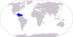 The Caribbean Sea, southeast of the Gulf of Mexico