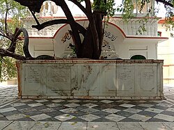 Sacred ber tree at Gurdwara Beri Sahib, Sialkot, Punjab, Pakistan