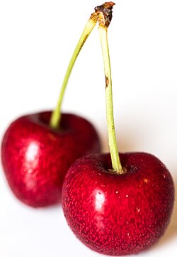 Red cherries with stems
