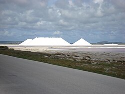 Cargill Salt, Bonaire