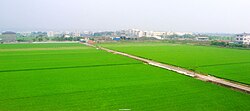 A typical scene of River North Region