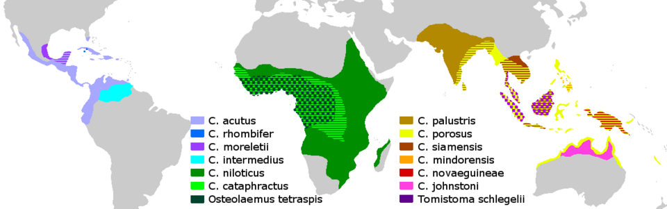 Distribution of crocodiles