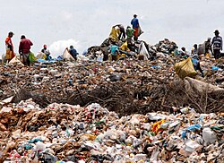 Some people in Brazil earn their living by collecting and sorting garbage and selling them for recycling.